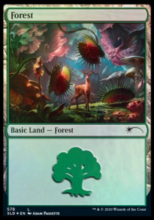 Forest (Predatory) (578) [Secret Lair Drop Promos] - Destination Retro