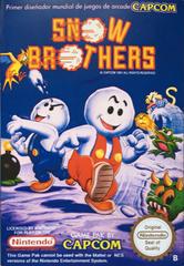 Snow Brothers - PAL NES - Destination Retro