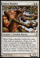 Oaken Brawler [The List] - Destination Retro