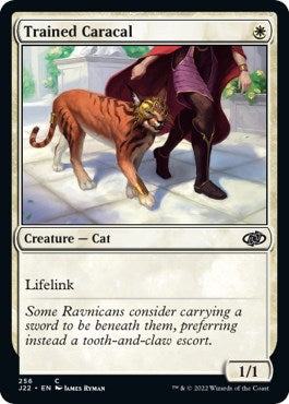 Trained Caracal [Jumpstart 2022] - Destination Retro