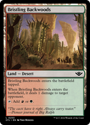 Bristling Backwoods [Outlaws of Thunder Junction] - Destination Retro