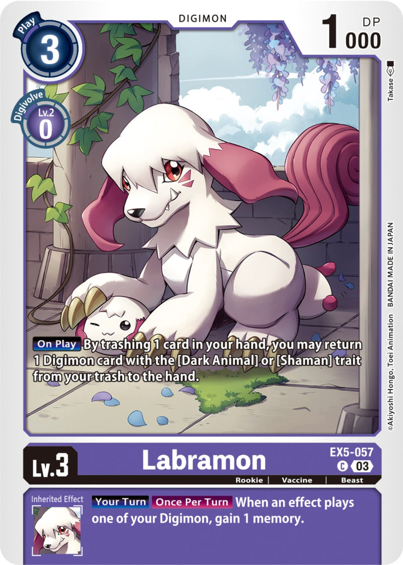 Labramon [EX5-057] [Animal Colosseum] - Destination Retro
