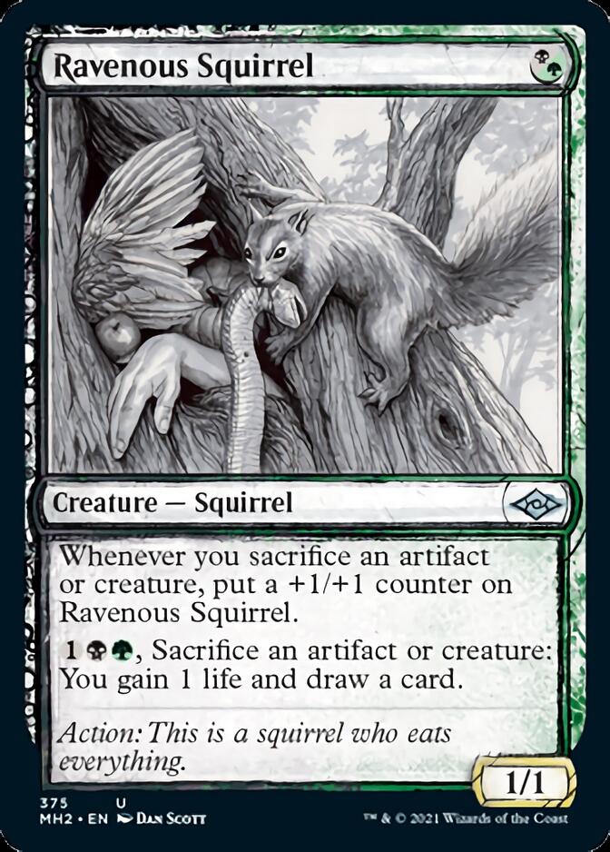 Ravenous Squirrel (Sketch) [Modern Horizons 2] - Destination Retro