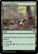 Tranquil Thicket [Murders at Karlov Manor Commander] - Destination Retro