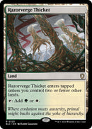Razorverge Thicket [Bloomburrow Commander] - Destination Retro