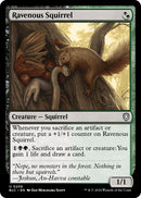 Ravenous Squirrel [Bloomburrow Commander] - Destination Retro