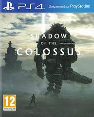 Shadow of the Colossus - PAL Playstation 4 - Destination Retro