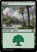 Forest (0402) [The Lost Caverns of Ixalan] - Destination Retro