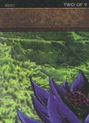 Black Lotus (2 of 9) (Ultra PRO Puzzle Quest) [Media Promos] - Destination Retro
