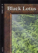 Black Lotus (1 of 9) (Ultra PRO Puzzle Quest) [Media Promos] - Destination Retro