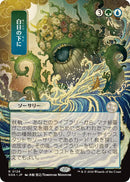 Bring to Light (Japanese) [Secrets of Strixhaven: Mystical Archive] - Destination Retro
