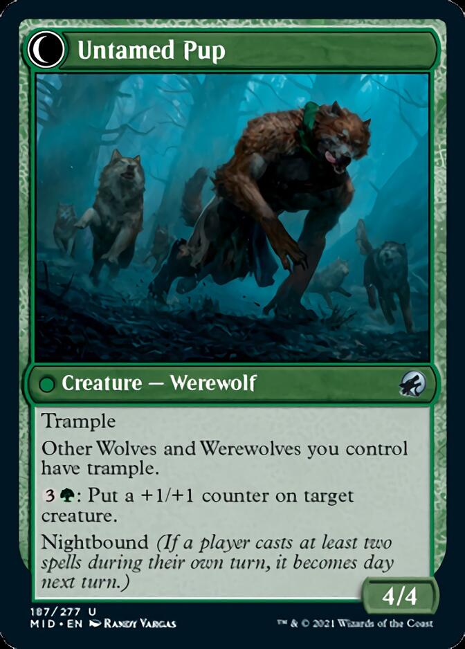 Hound Tamer // Untamed Pup [Innistrad: Midnight Hunt] - Destination Retro