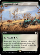 Sungrass Prairie (Extended Art) [Fallout] - Destination Retro