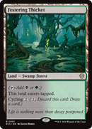Festering Thicket [Lorwyn Eclipsed Commander] - Destination Retro