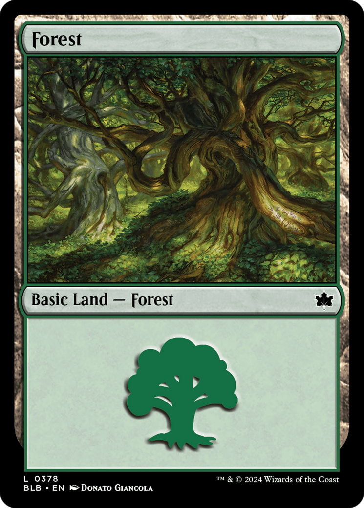 Forest (0378) [Bloomburrow] - Destination Retro