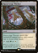 Razorverge Thicket [The List] - Destination Retro