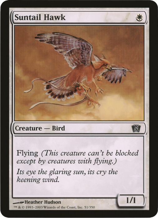Suntail Hawk (Oversized) [Eighth Edition Box Topper] - Destination Retro