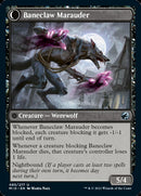 Baneblade Scoundrel // Baneclaw Marauder [Innistrad: Midnight Hunt] - Destination Retro