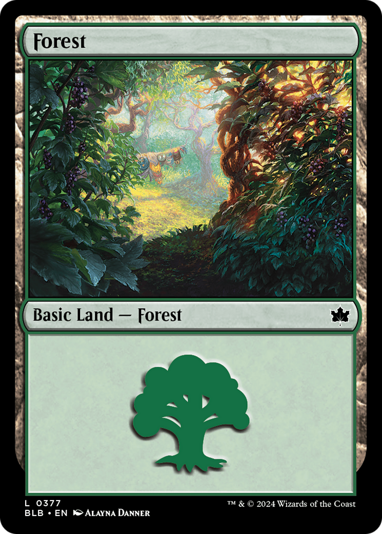 Forest (0377) [Bloomburrow] - Destination Retro