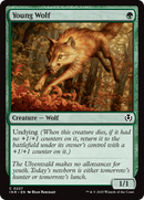 Young Wolf [Innistrad Remastered] - Destination Retro