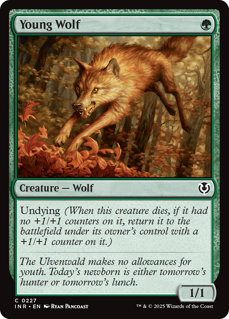 Young Wolf [Innistrad Remastered] - Destination Retro