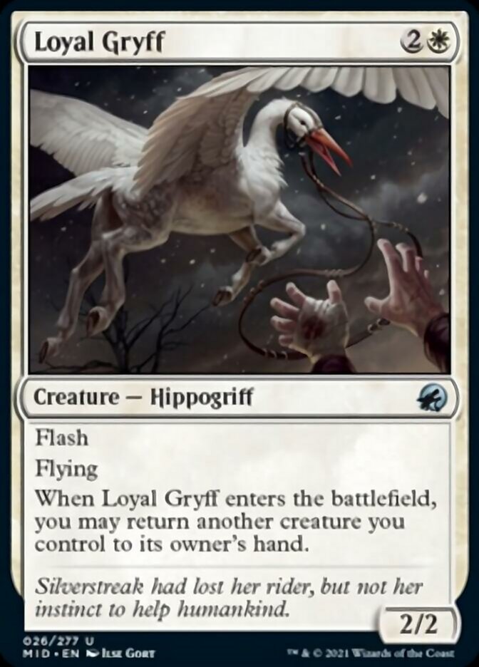 Loyal Gryff [Innistrad: Midnight Hunt] - Destination Retro