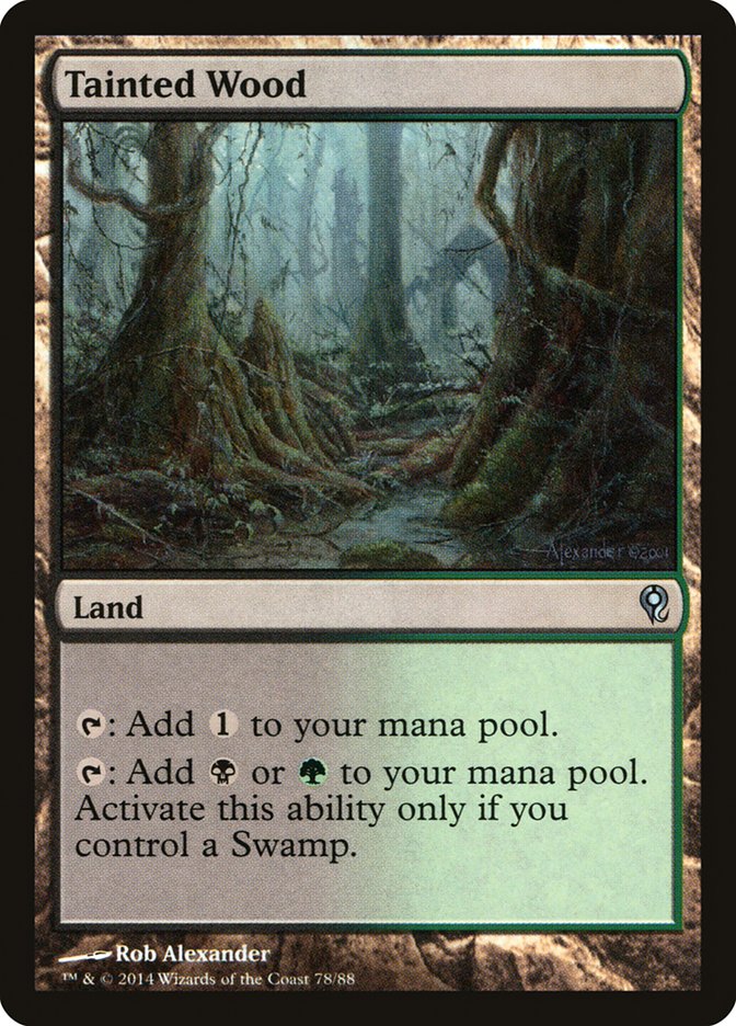 Tainted Wood [Duel Decks: Jace vs. Vraska] - Destination Retro