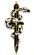 NightK - Snake Sword Black -  Enamel Charm - Destination Retro