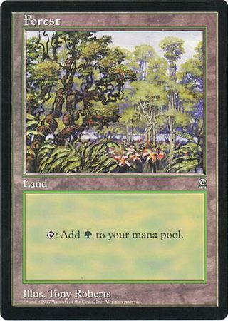 Forest (Oversized) [Oversize Cards] - Destination Retro