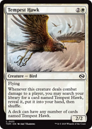 Tempest Hawk [Tarkir: Dragonstorm] - Destination Retro