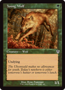 Young Wolf (Retro Frame) [Innistrad Remastered] - Destination Retro