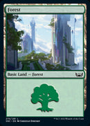 Forest (270) [Streets of New Capenna] - Destination Retro