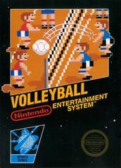 Volleyball - NES - Destination Retro