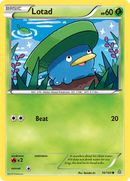 Lotad (10/160) [XY: Primal Clash] - Destination Retro