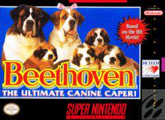 Beethoven - Super Nintendo - Destination Retro