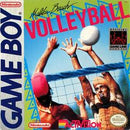 Malibu Beach Volleyball - GameBoy - Destination Retro