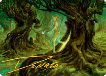 Neverwinter Dryad Art Card (Gold-Stamped Signature) [Dungeons & Dragons: Adventures in the Forgotten Realms Art Series] - Destination Retro
