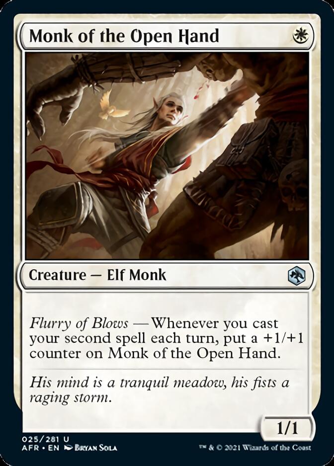 Monk of the Open Hand [Dungeons & Dragons: Adventures in the Forgotten Realms] - Destination Retro