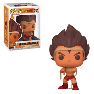 Vegeta (Training) (Dragonball Z) - Destination Retro