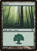 Forest (381) [Tenth Edition] - Destination Retro