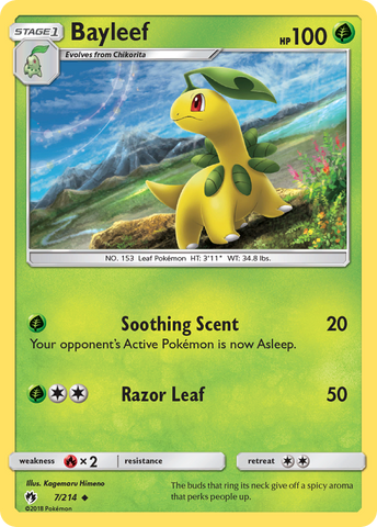 Bayleef (7/214) [Sun & Moon: Lost Thunder] - Destination Retro