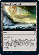 Blighted Woodland [Commander Legends] - Destination Retro