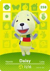 Daisy