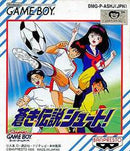 Aoki Densetsu Shoot - JP GameBoy - Destination Retro