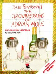 The Growing Pains of Adrian Mole - ZX Spectrum - Destination Retro