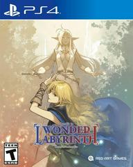 Record Of Lodoss War: Deedlit In Wonder Labyrinth - Playstation 4 - Destination Retro