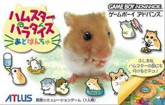 Hamster Paradise Advanchu - JP GameBoy Advance - Destination Retro