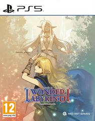 Record of Lodoss War: Deedlit in Wonder Labyrinth - PAL Playstation 5 - Destination Retro