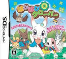 Happy Happy Clover - JP Nintendo DS - Destination Retro