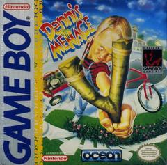 Dennis the Menace - GameBoy - Destination Retro